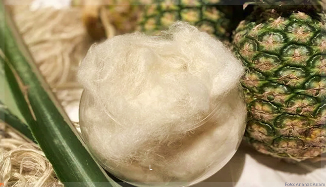 Ananas Anam lança o fio Piñayarn, feito a partir de resíduos de folhas de abacaxi